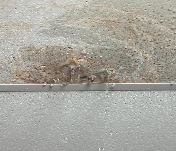 staining and dripping from acoustic ceiling tiles