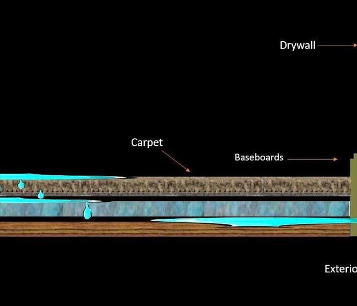 Understanding Water Damage