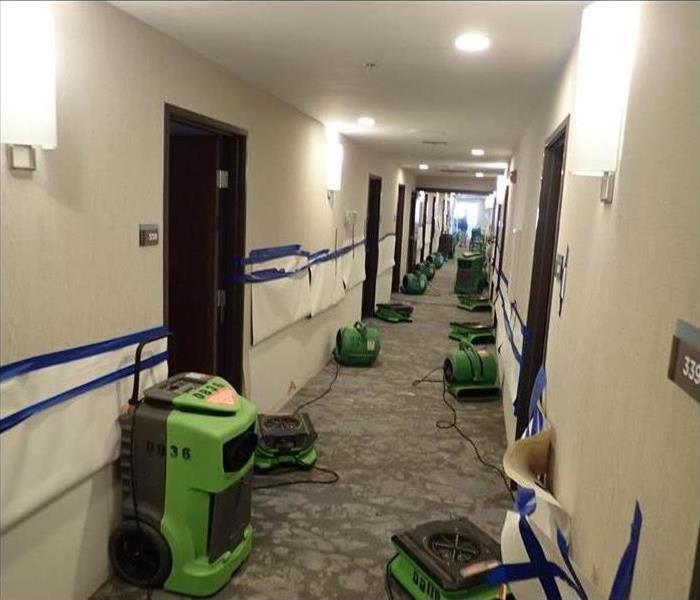Hotel Fire Sprinkler Water Damage Remediation