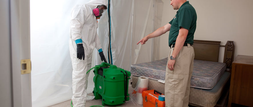 La Mirada, CA mold removal process